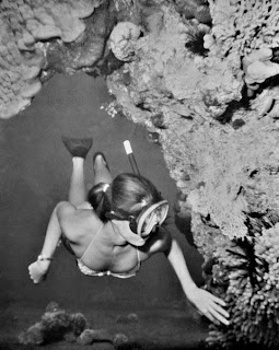 Una testimonianza d'affetto per Giulia da parte di un vecchio amico, il giornalista e scrittore Decio Lucano