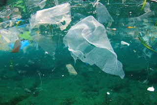 La stima: 5,25 miliardi di pezzi di plastica inquinano i nostri mari