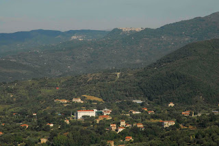 La bellezza... è importante la bellezza... da quella scende giù tutto il resto