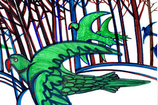 Parrocchetti: un’invasione particolare, sono ovunque