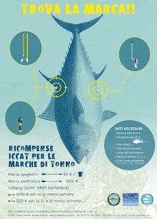 I misteri del tonno. Dai cold cases alle indagini satellitari