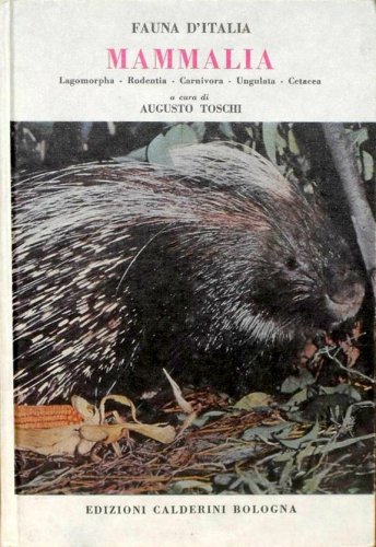 Mammalia Lagomorpha Rodentia Carnivora Undulata Cetacea