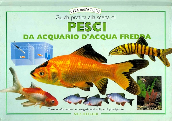 Guida pratica alla scelta di pesci da acquario d'acqua fredda
