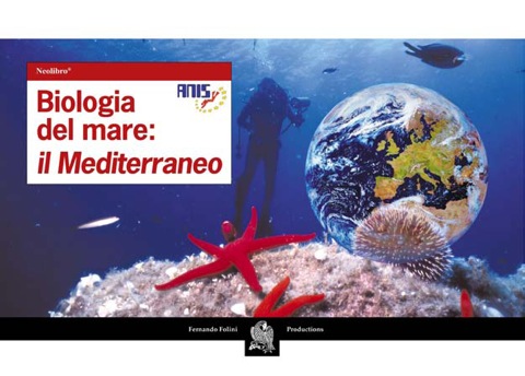 Biologia del mare: il Mediterraneo