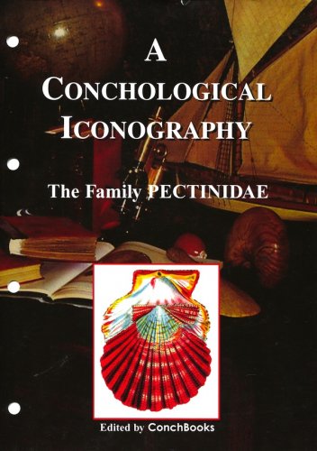 Conchological iconography the family Pectinidae