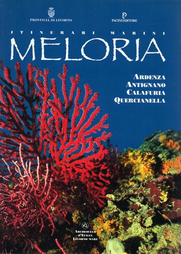 Meloria