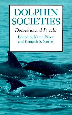 Dolphin societies