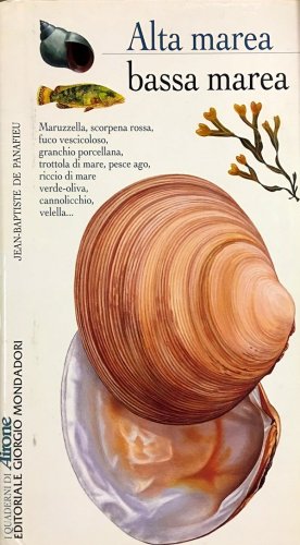 Alta marea bassa marea