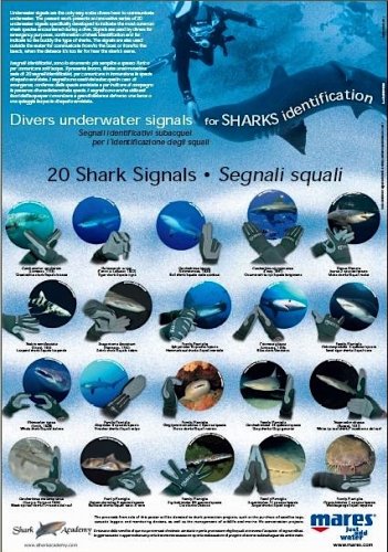 20 Shark signals - 20 segnali squali