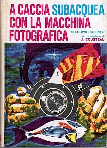 A caccia subacquea con la macchina fotografica