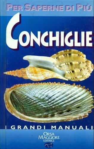 Conchiglie