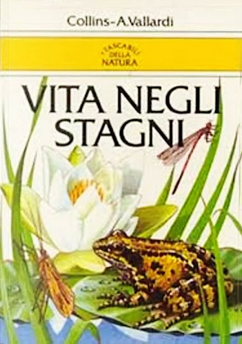 Vita negli stagni