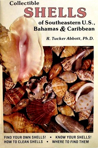 Collectible shells of southeastern U.S., Bahamas & Carribean
