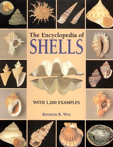 Encyclopedia of shells