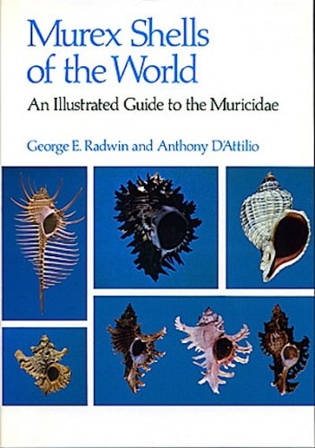 Murex shells of the world
