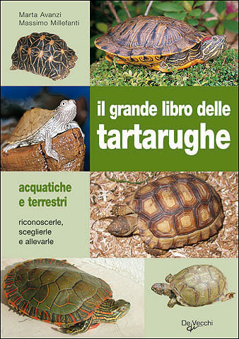Grande libro delle tartarughe