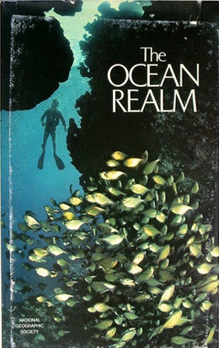 Ocean realm