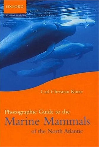 Photographic guide to the marine mammals of the North Atlantic