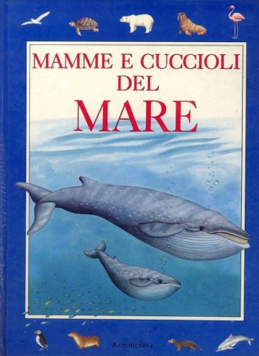 Mamme e cuccioli del mare