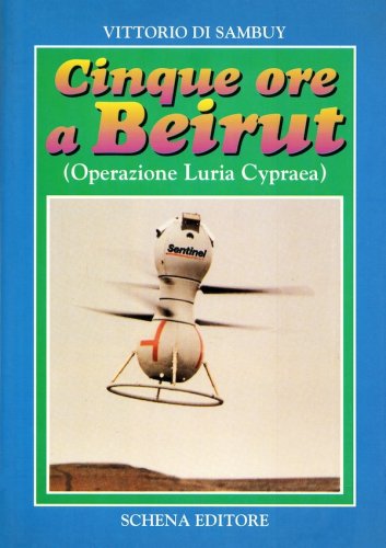 Cinque ore a Beirut