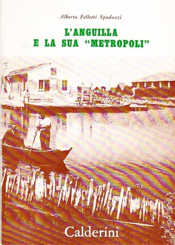 Anguilla e la sua “metropoli”