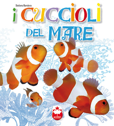 Cuccioli del mare