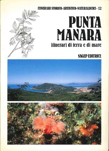 Punta Manara