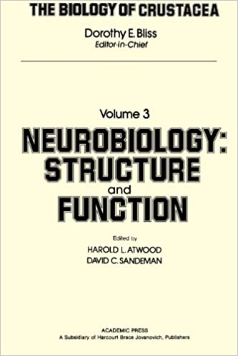 Biology of Crustacea vol.3