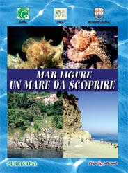 Mar Ligure