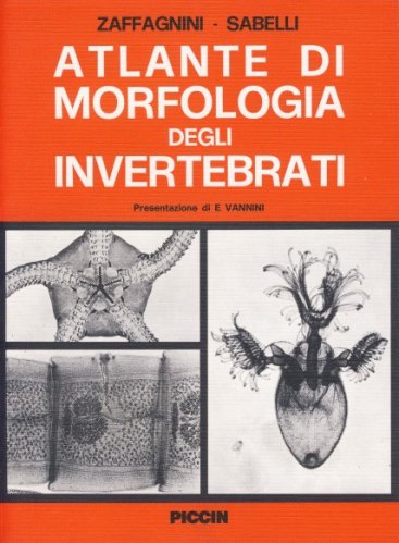 Atlante di morfologia degli invertebrati