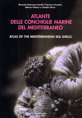 Atlante delle conchiglie marine del Mediterraneo vol.4 pt.1