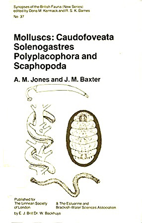 Molluscs: Caudofoveata, Solenogastres, Polyplacophora and Scaphopoda