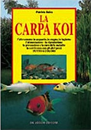 Carpa Koi