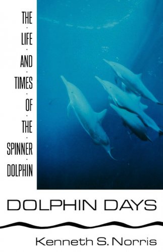 Dolphin days