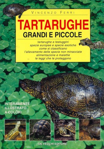 Tartarughe grandi e piccole
