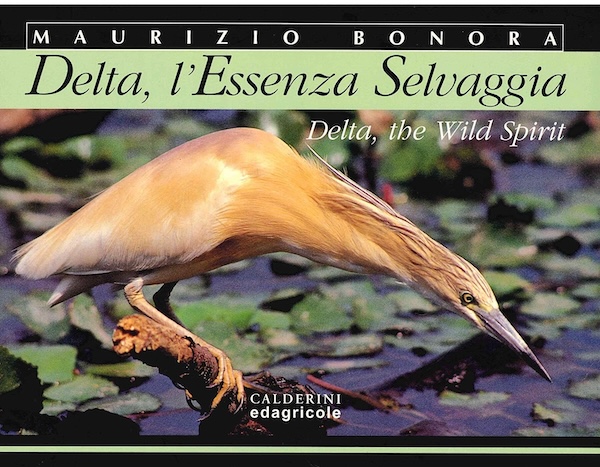 Delta, l'essenza selvaggia