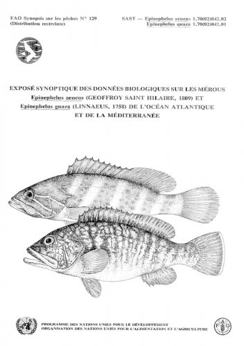 Exposé synoptique des données biologiques sur les merous de l'Océan Atlantique