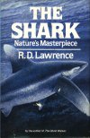 Shark! - nature's masterpiece