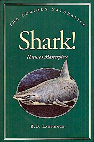Shark! - nature's masterpiece