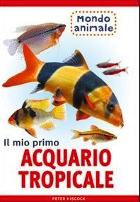 Mio primo acquario tropicale