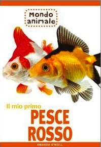 Mio primo pesce rosso