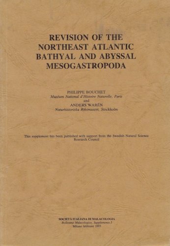 Revision of the North-East Atlantic bathyal and abyssal turridae