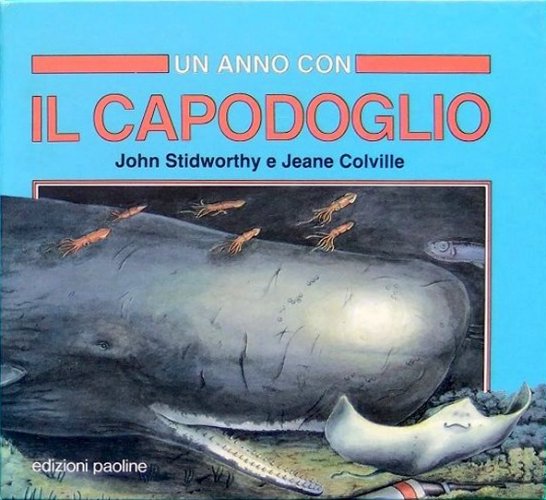 Anno con il capodoglio