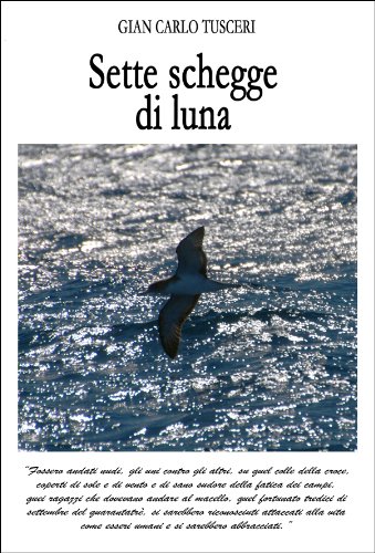 Sette schegge di luna