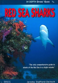Red Sea sharks