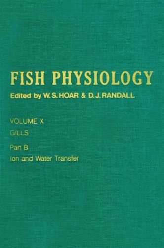 Fish physiology vol.10b