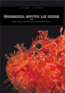 Gorgona sotto le onde