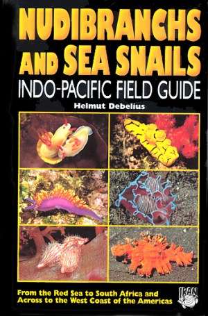 Nudibranchs and sea snails Indo-Pacific field guide