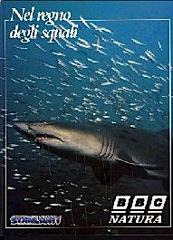 Nel regno degli squali