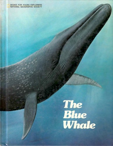 Blue whale